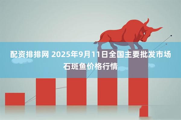 配资排排网 2025年9月11日全国主要批发市场石斑鱼价格行情