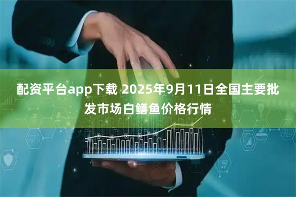 配资平台app下载 2025年9月11日全国主要批发市场白鳝鱼价格行情