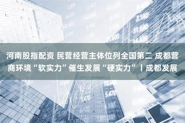 河南股指配资 民营经营主体位列全国第二 成都营商环境“软实力”催生发展“硬实力”丨成都发展